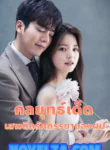 กลยุทธ์เด็ดเสพติดรักภรรยาของผม-novelza