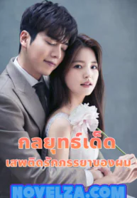 กลยุทธ์เด็ดเสพติดรักภรรยาของผม-novelza